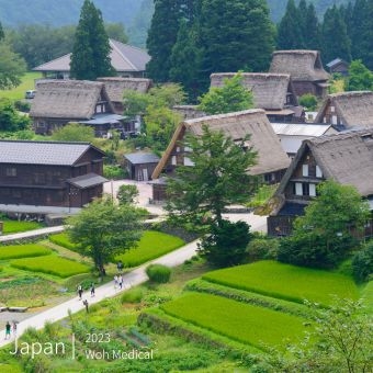 2023 沃醫學員工旅遊 -日本賞楓